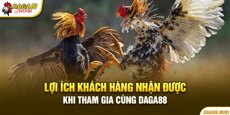 Những lợi ích khi tham gia cùng hệ thống Daga88