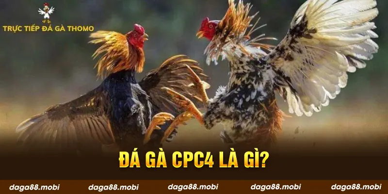 Đá gà CPC4 là gì?