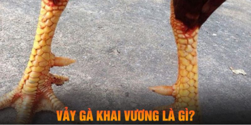 Đặc điểm nhận dạng ra giống gà có vảy khai vương