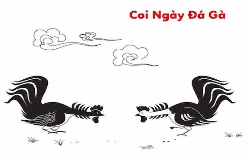 Cách xem màu mạng gà đá dựa theo ngày