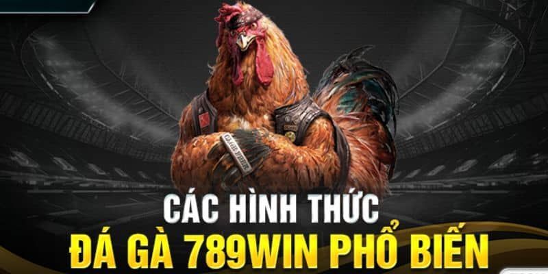 Phong phú các hình thức chơi cho bet thủ