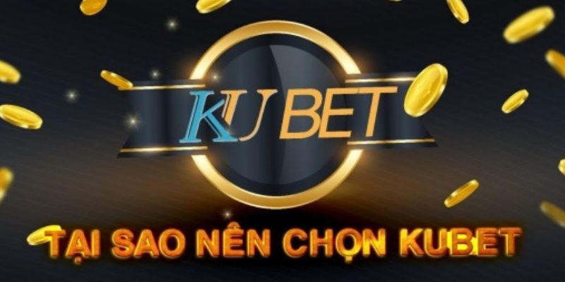 Tổng quan chung về nhà cái kubet