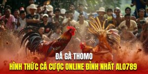 Đá Gà Thomo - Hình Thức Cá Cược Online Đỉnh Nhất Alo789